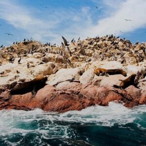 Islas Ballestas