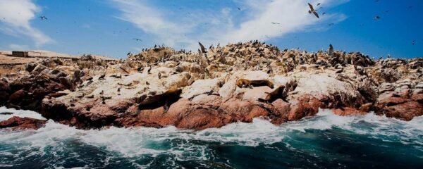 Islas Ballestas