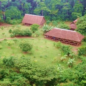 Tambopata 3 Días / 2 Noches